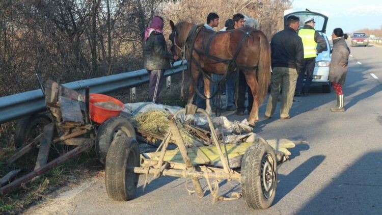 Зарязана каруца предизвика катастрофа с два автомобила,конят оцелял