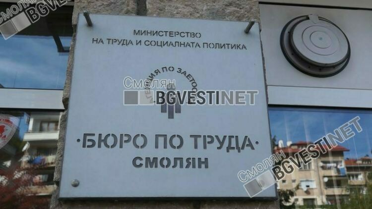 Общо 51 свободни работни места обяви Бюрото по труда към 5 август