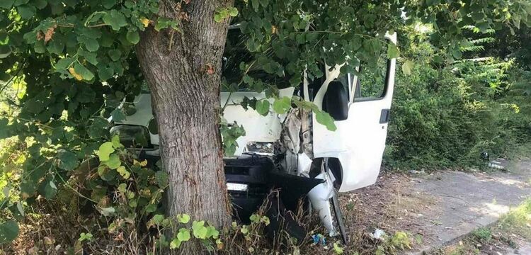 Товарен автомобил се удари в дърво край Стойките.Водъчът се размина с леки наранявания