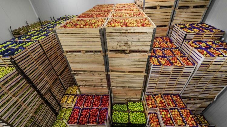 Oсновните хранителни продукти са поскъпнали рекордно