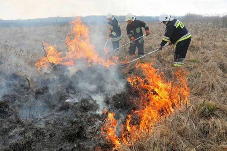 Човешка небрежност подпали сухи треви и храсти
