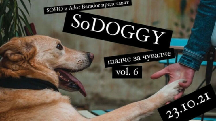 Как едно шалче може да донесе чувалче с храна