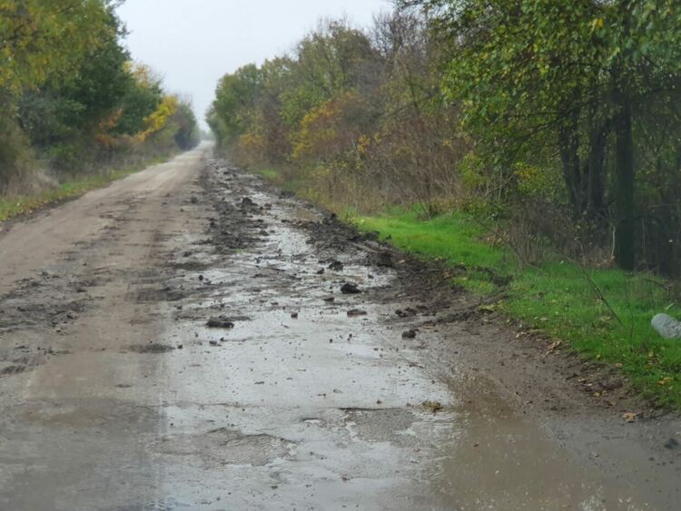 Кал по пътното платно застрашава движението между Първомай и Виница