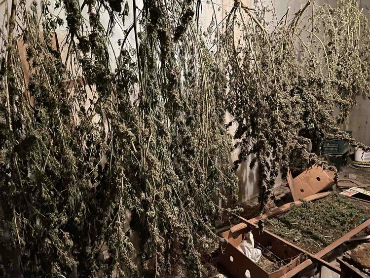 Пловдивски криминалисти задържаха мъж, занимавал се с производство и разпространение на наркотици 