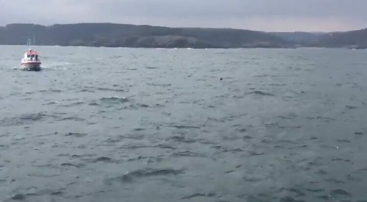 Търсят мина, забелязана в Черно море до нос Галата