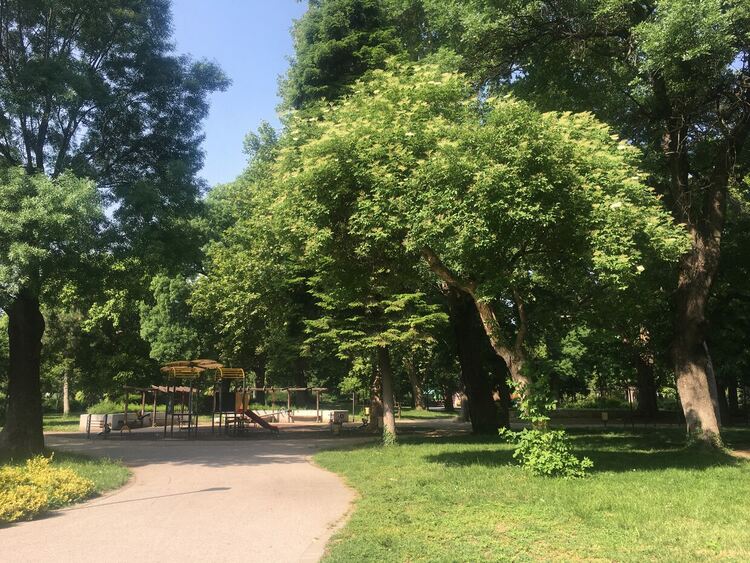 Слънчево и топло в понеделник