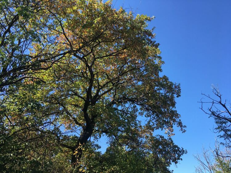 Слънчево и умерено ветровито
