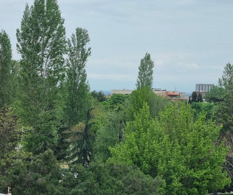 Конкурс "Мисли зелено" мотивира децата на Асеновград да опазват околната среда 