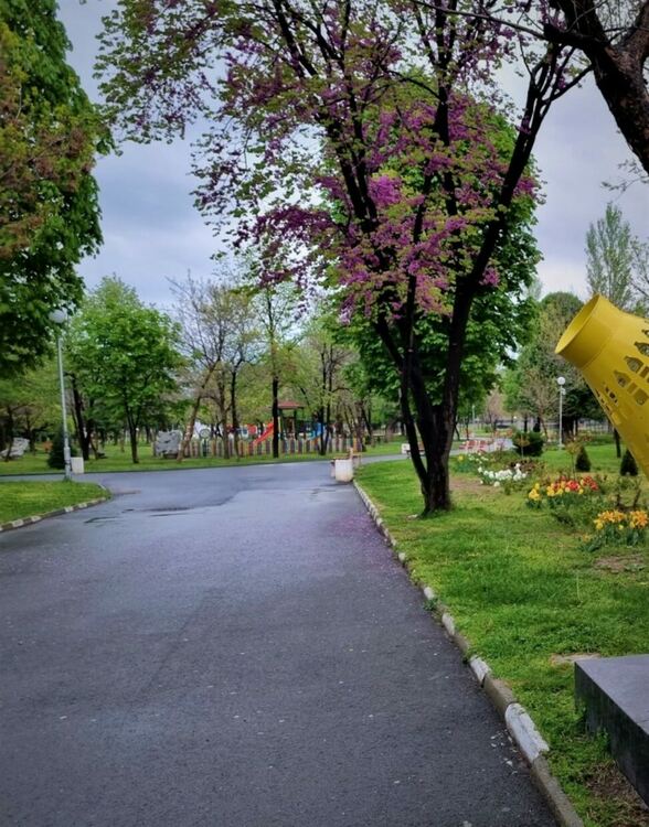 Да изчистим Асеновград заедно 