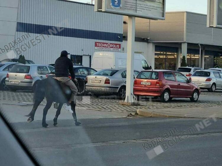 На вниманието на новата управа: Кърджали има нужда от коневръзи!