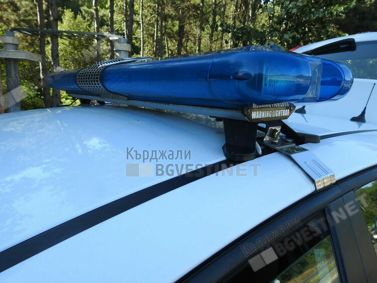 21-годишна отнесе домашно животно на пътя при Кирково
