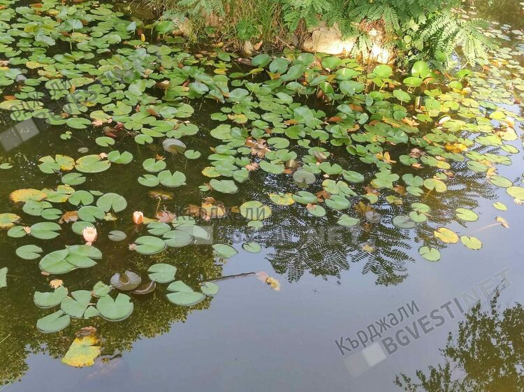 Жълт код за опасни жеги в Кърджалийско,ветровито