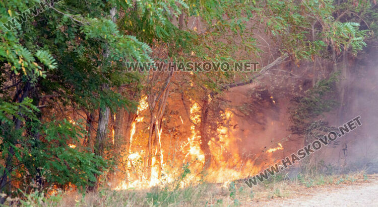 Тракторист причини поредния пожар, този път край село Коларово