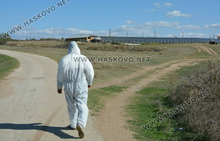 Откриха още едно огнище на шарка по дребния добитък