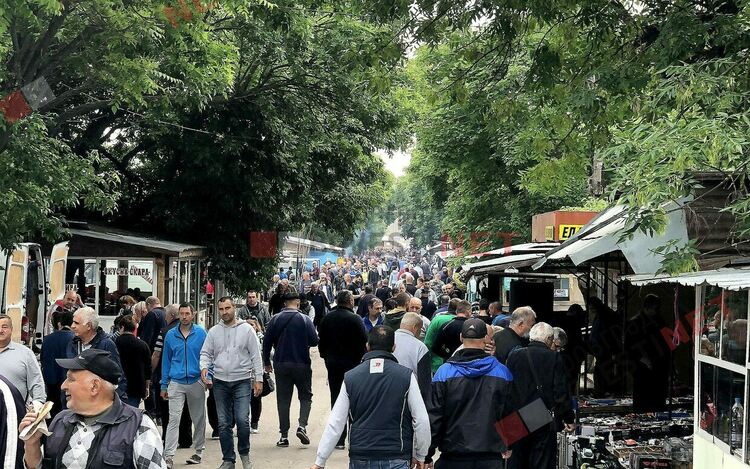 Свободни работни места в Димитровград