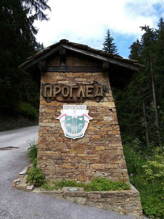 Две домашни кучета са изгорели живи в пожар в къща в чепеларското село Проглед