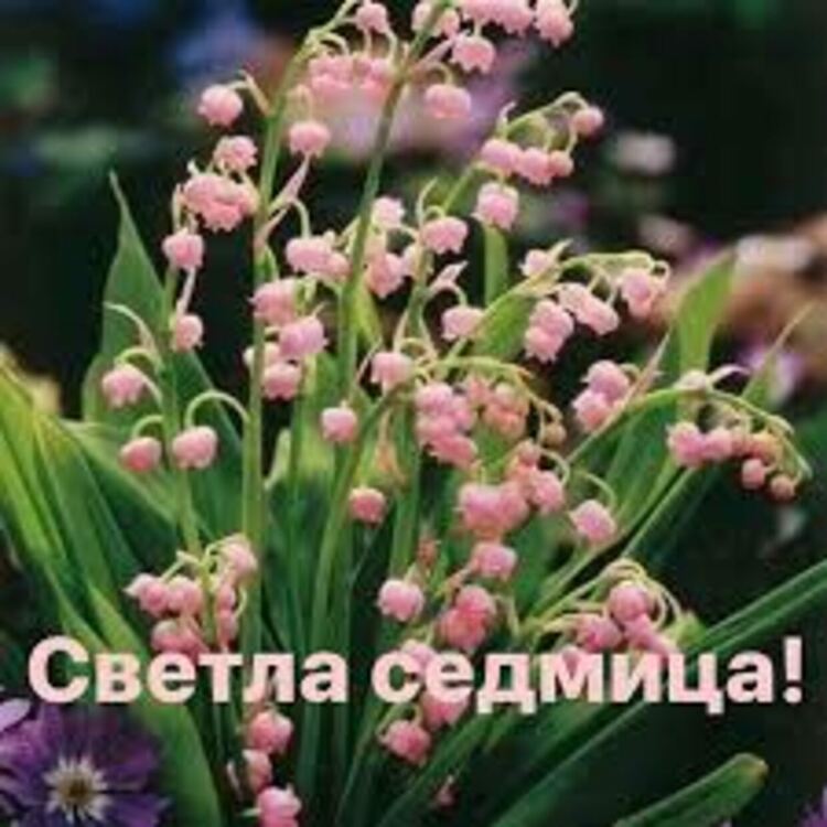 Започва Светлата седмица – най-радостният период в християнския календар