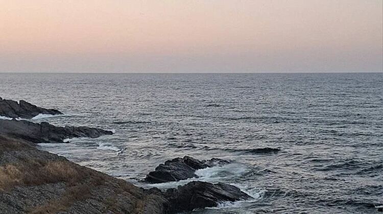 2°C разлика се оказва критична: Кога жегата става смъртоносна за Черно море?